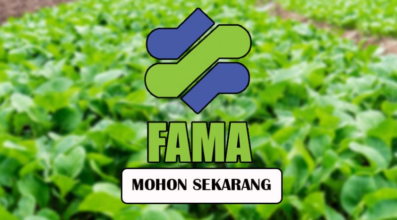 Permohonan Dibuka Bagi Kekosongan Pelbagai Jawatan FAMA ...